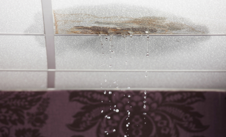 Plumber Cranbourne North